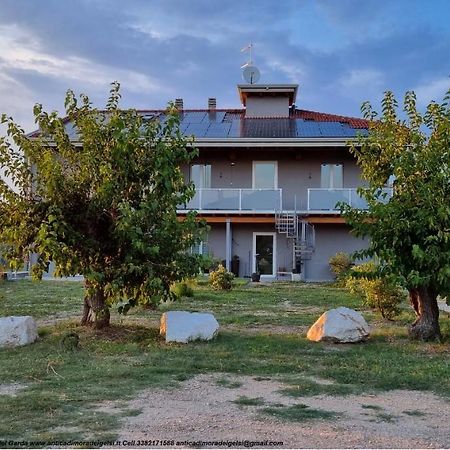 Bed and Breakfast Antica Dimora Dei Gelsi Манерба-дель-Гарда Экстерьер фото