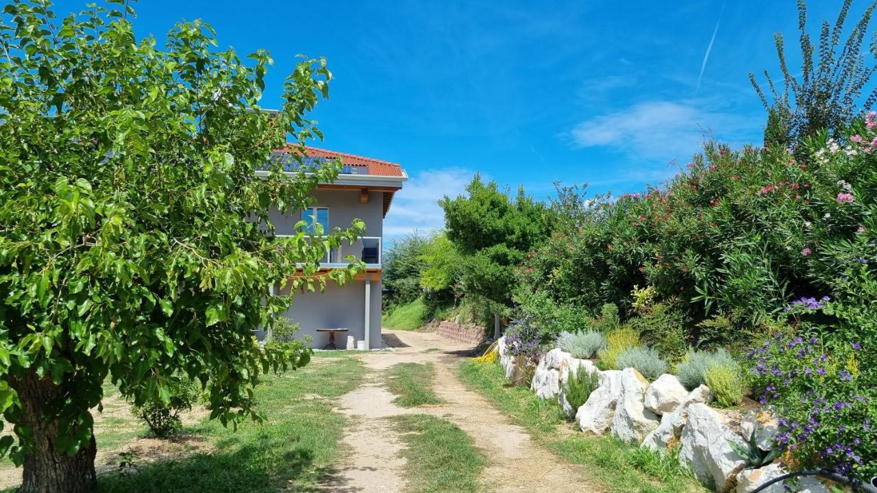 Bed and Breakfast Antica Dimora Dei Gelsi Манерба-дель-Гарда Экстерьер фото